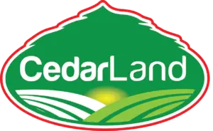 Cedar Land